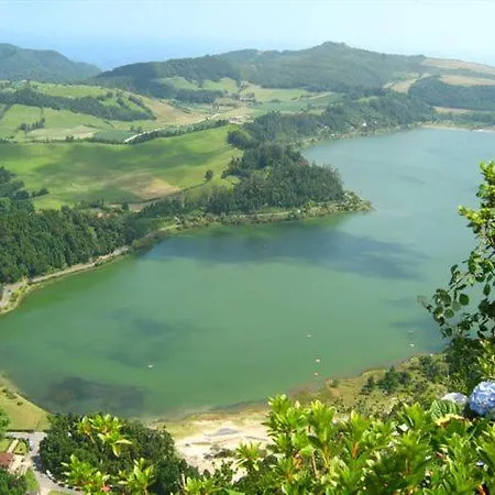 Oliveira * Furnas (Azores)