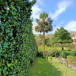 Oliveira * Furnas (Azores)